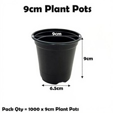 9cm plant pots black - plant,