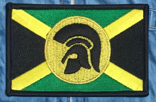Ska reggae skinhead - ska,