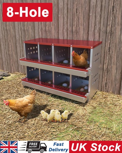 Compartment chicken nesting - 8,