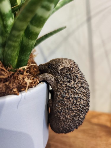 Hedgehog pot hanger - hanger, resin