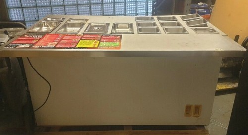 Commercial chest freezer - chest,