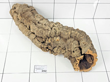 Natural Cork Bark Tube Wood