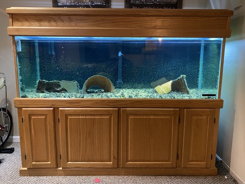 180 gallon aquarium fish tank - 180,