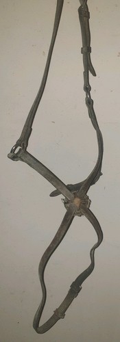 Sabre grackle noseband - sabre, f