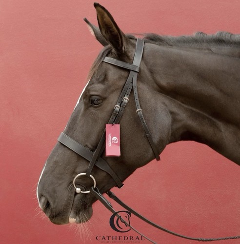 Oasby snaffle hunter - snaffle,