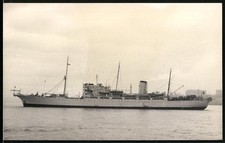 Photograph L. A. Baker