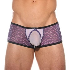 Gregg Homme Bare Boxer Brief