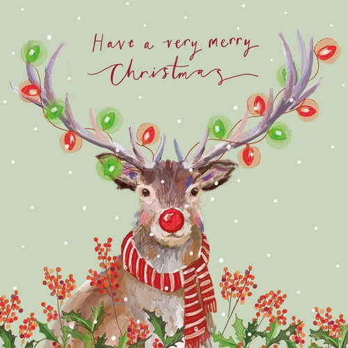 Charity christmas cards pack - christmas,