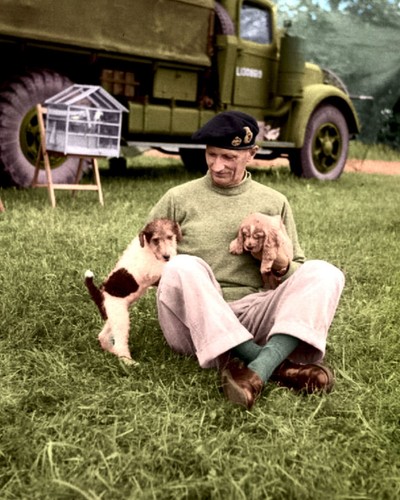 Field marshall montgomery - marshall, 10"