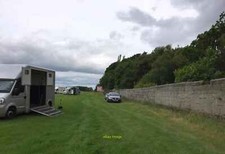 Photo 6x4 Stafford Horse