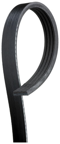 Drive belt ribbed - drive,