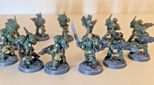 WellPainted OOP Metal Cadian