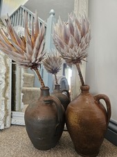 Vintage Cider Jugs From