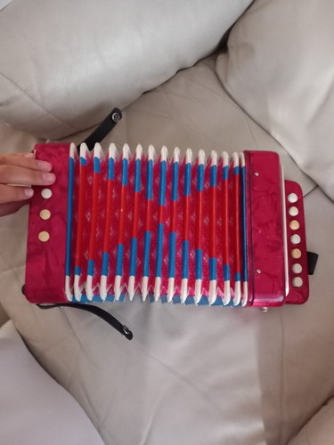 Red button accordion - 10,
