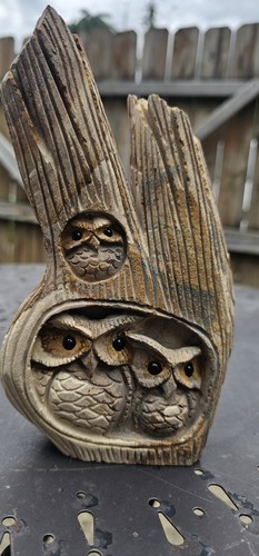 Picture jasper owls tree - jasper,