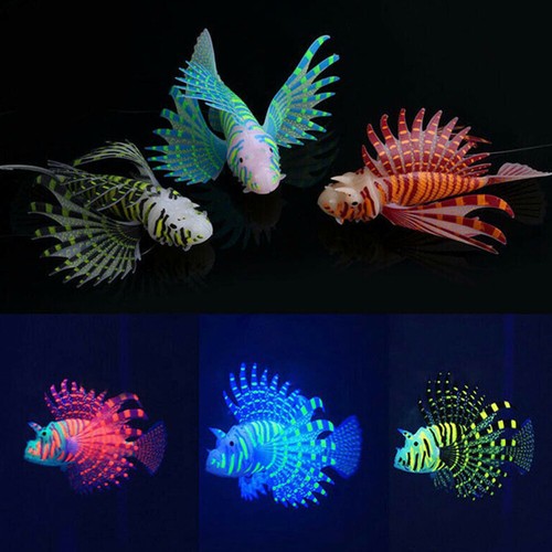 Aquarium artificial luminous - aquarium,