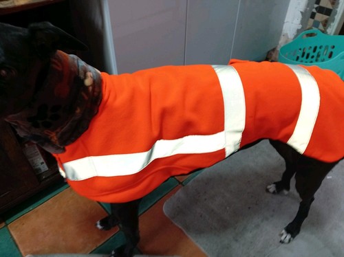 Greyhound reflective coat - , 32"