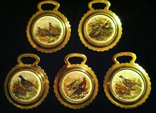 Set british game birds - of,