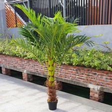 180cm 6FT Large Artificial