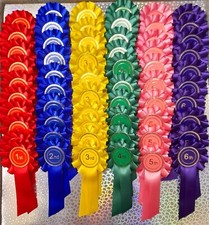 1st 6th x10 rosettes - to,