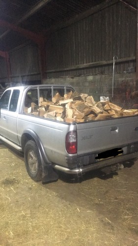Seasoned hardwood logs - hardwood,