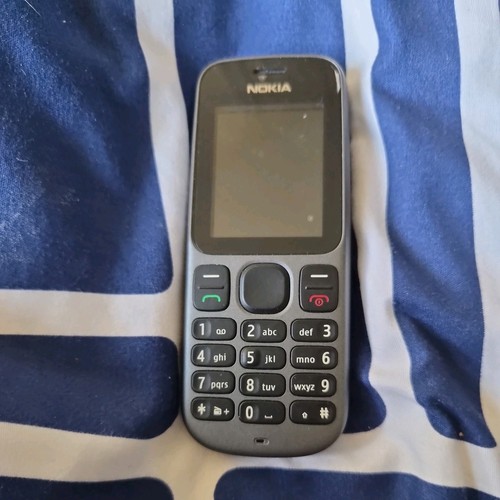 Nokia 100 mobile phone