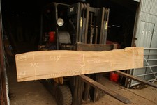 Elm Slab Kiln Dried 2600 L x