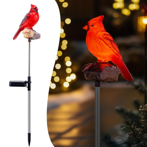 Cardinal solar lights outdoor - lights,