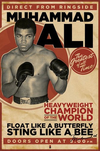 Muhammad ali boxing poster - boxing,