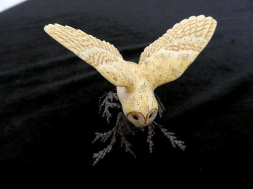Border fine arts - fine, owl