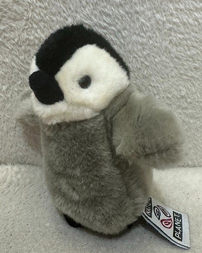 Nature planet penguin - , chick