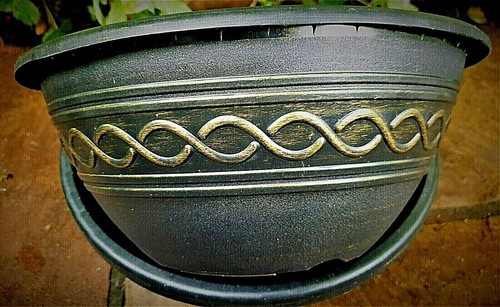 Set round plant bowl - x,
