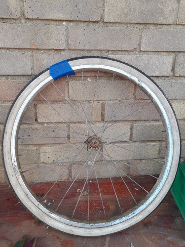 Raleigh shopper stowaway - 20",