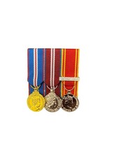Court mounted miniature medal - court,