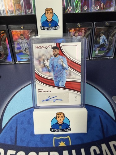 David raya 2023 2024 - raya, 2023-2024