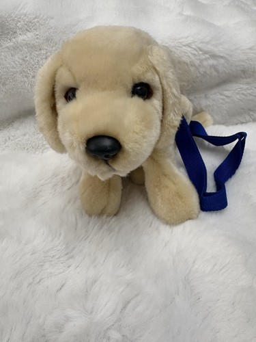 Andrew puppy dog - puppy, up