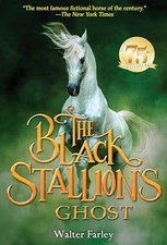 Black Stallion's Ghost by