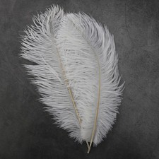 10 PCS 25-30cm White Ostrich