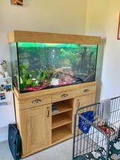 aquarium fish tank with stand