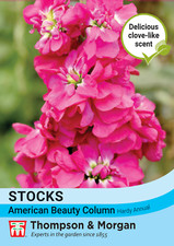 Thompson & Morgan  Flower