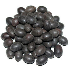 30 Seeds Lotus Mix Flower Seed