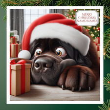 Newfoundland Christmas Card