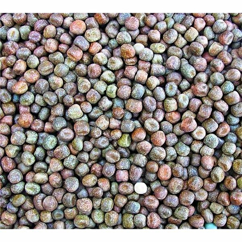 Maple peas 2kg - , fishing