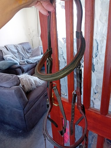 Rambo miklem bridle - ,