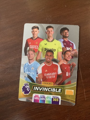 Panini premier league 2024