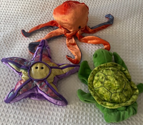 Set sea animal - of,