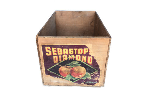Sebastop diamond wood fruit - sebastop,