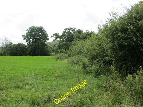 Photo 6x4 grassland - 6x4, near