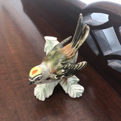 Goebel firecrest bird - goebel,