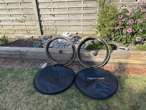 Reynolds assault carbon - reynolds,